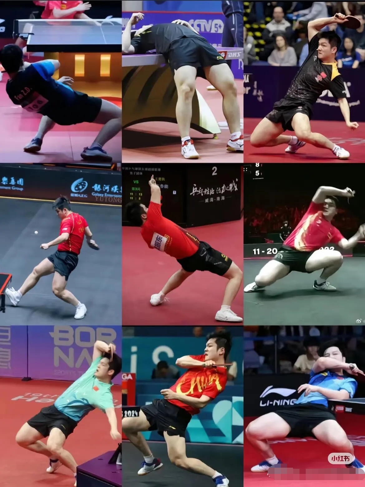 DB彩票-瑞典乒乓球队碾压比利时乒乓球队，樊振东制霸全场